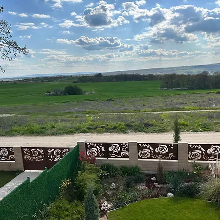فيلة Belvedere *